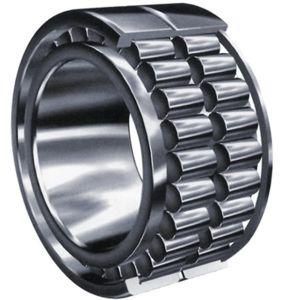 Double-Row Full Complement Cylindrical Roller Bearings