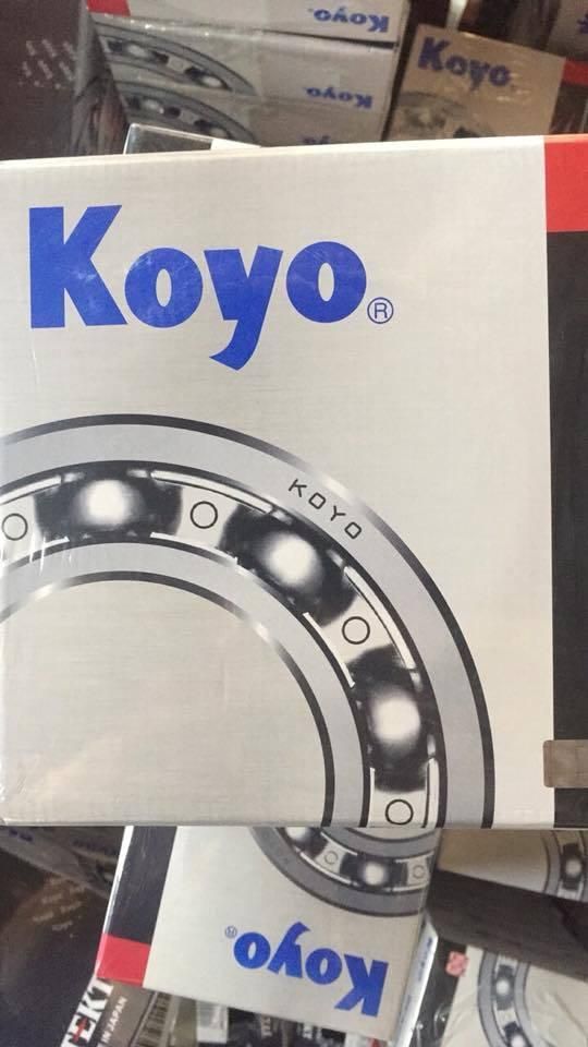 NSK NTN Koyo Timken Deep Groove Ball Bearing