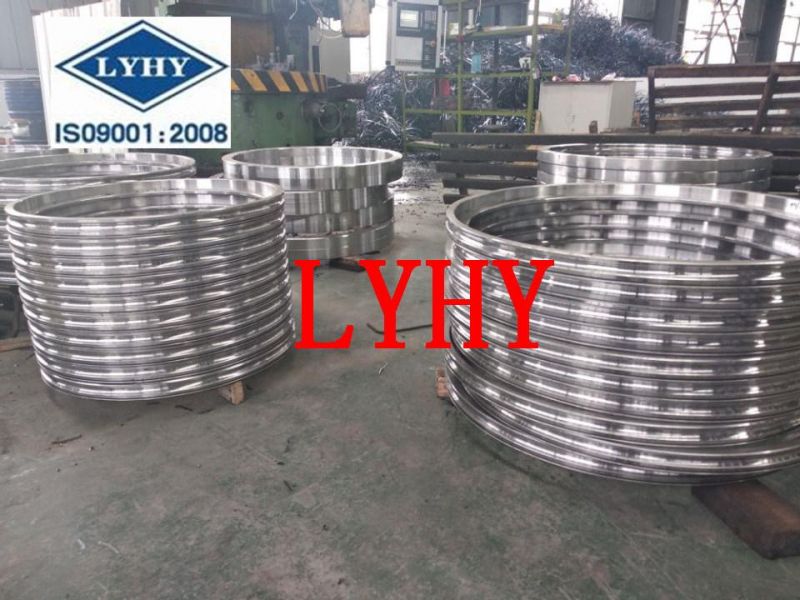 Rks Series Slewing Bearing for Portal Crane Rks. 062.20.0644
