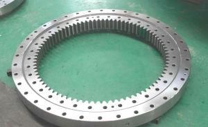 I. 855.25.00. B Slewing Bearing/Slewing Ring/Turntable Bearing