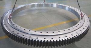 E. 1050.20.00. B Slewing Bearing/Slewing Ring/Turntable Bearing