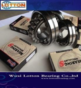 Lotton Double Row Spherical Roller Bearing 248/1800