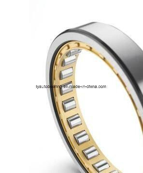 Cylindrical Roller Bearing Nn3028