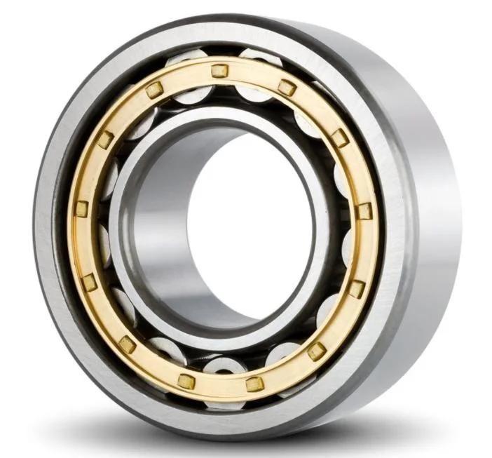 Cylindrical Roller Bearing Nu313etn/32313ea Nu313e/32313e Nj313e/42313e Nj313m/42313h Nj313etn/42313ea Nh313m/62313h Rn313m/502313h N314/2314 N314e/2314e