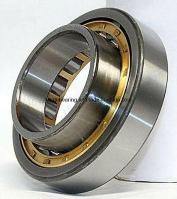 Cylindrical Roller Bearing Nn3010