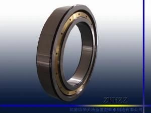 Zwhzz Deep Groove Ball Bearing 61936mA