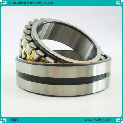 Full Complement Bearing Double/Single Row Cylindrical Roller Bearings