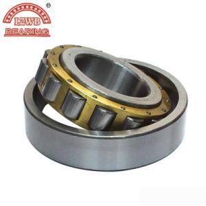 High Precision Big Size Cylinder Roller Bearing (nj326M)