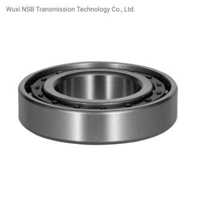 Salf205/Salf205-14/Salf205-15/Salf205-16/ UC/UCP/Ucf//Ucpa/Naflu Agriculture Pillow Block Bearing Insert Bearings