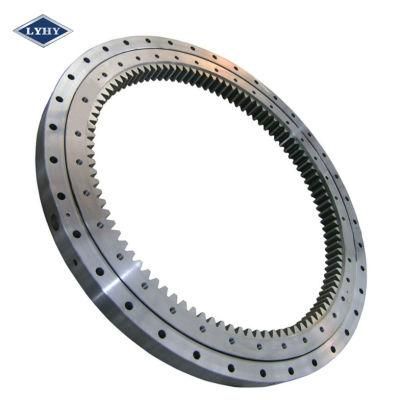 Inner-Geared Slewing Ring Bearing Made in China (RKS. 312410101001)