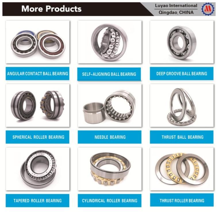 Hot Sale Angular Contact Ball Bearing 7005c, 7005acm, 7005cat, 7005ceta, Original NSK NTN Bearing for Renewable Energy