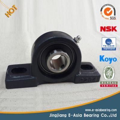 Lowest Price Linear Bearing