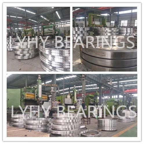 Internal Gear Slewing Ring Bearing 1078DBS101y Rotary Bearing