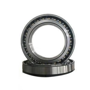 Three or Four Point Angular Contact Ball Bearing