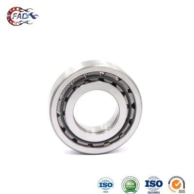 Xinhuo Bearing China 608RS Bearing Supply 5207 Bearing N324e Double Cylindrical Roller Bearing