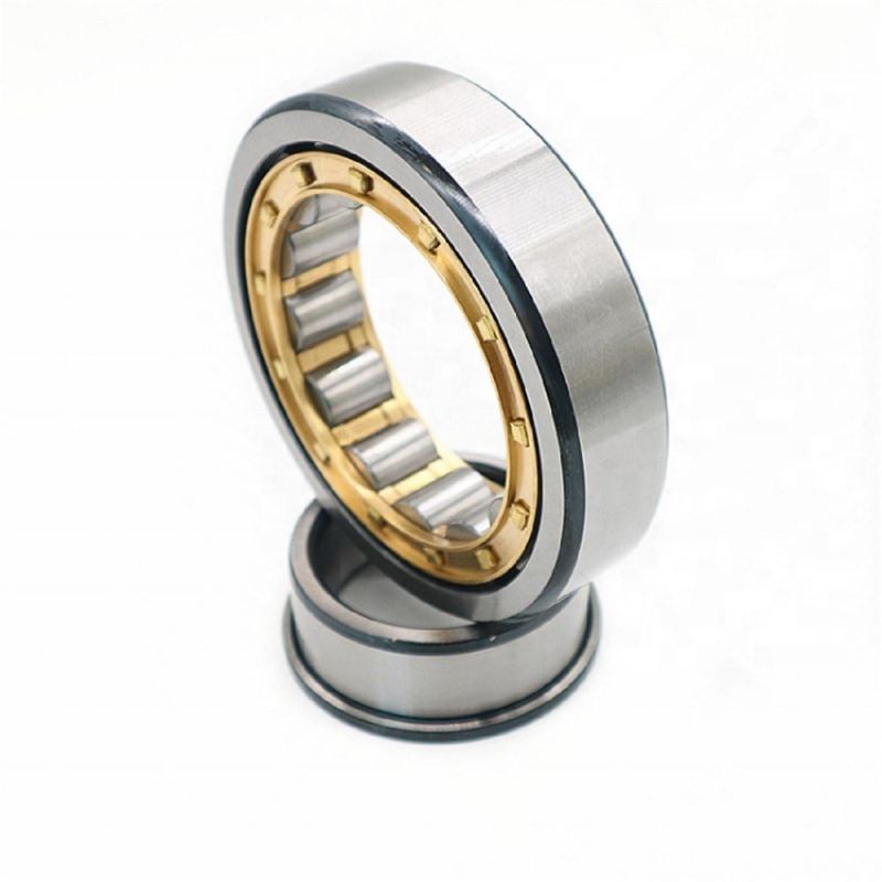 Hot Selling Factory Price 40mm Double Row Cylindrical Roller Bearings