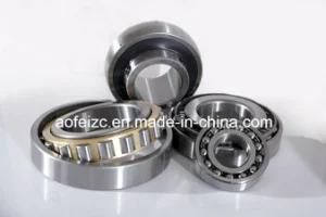 55X100X21mm NJ Brass body cylindrical roller bearing NJ211EM