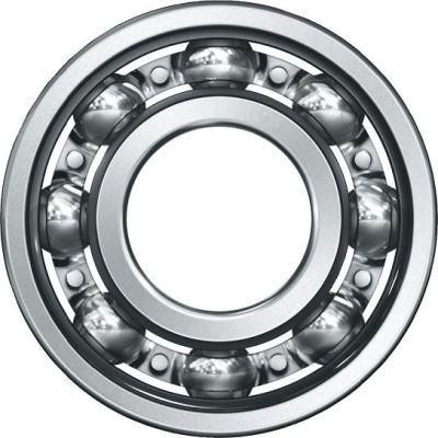 Large Deep Groove Ball Bearings (61996)