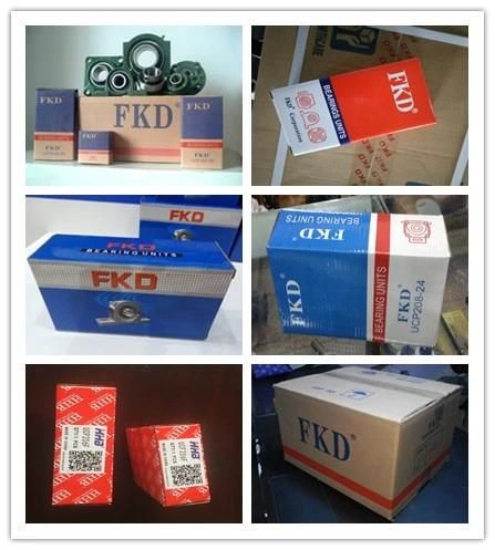 Fkd/Inster Bearing/Bearing /Bearing Units/Pillow Block Bearing Units