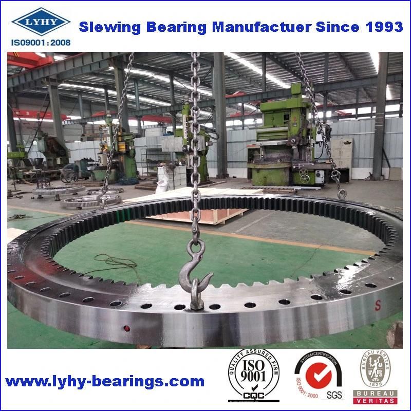 Ball Bearing Slewing Ring Bearing Without Gear Teeth Bearing Turntable Bearing Rotary Bearing (RKS. 25.1204)