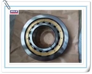 China High Precision Cylindrical Roller Bearing, Nu1004m