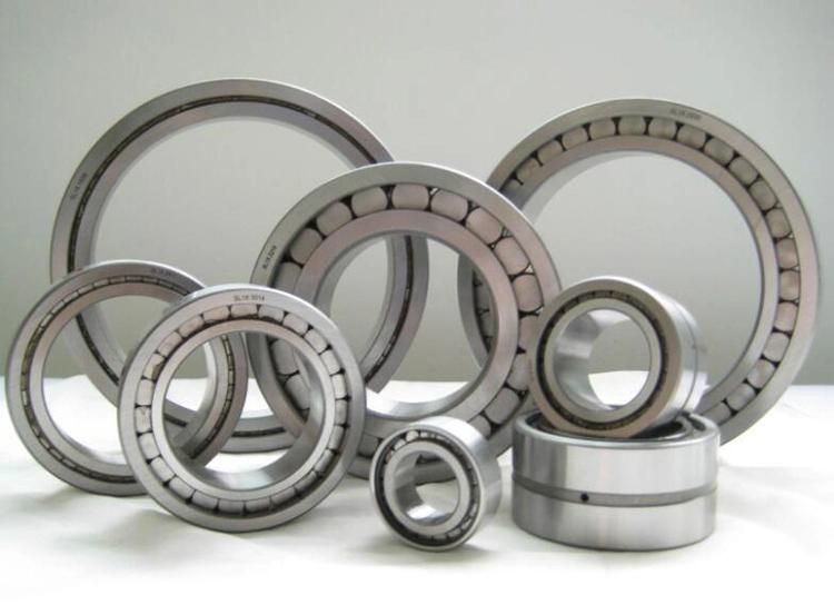 75X130 22215c/W33 Double Rows Spherical Roller Bearing with Cylindrical Bores