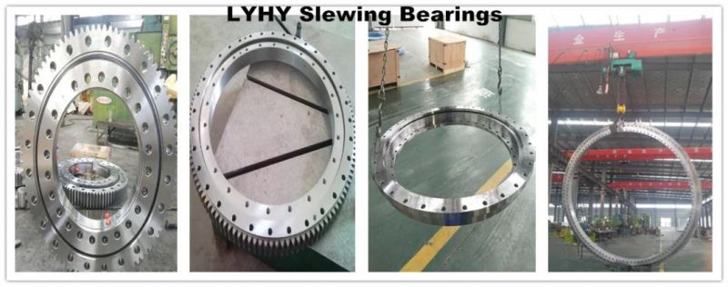 Gearless Slewing Ring Bearing for Construction Machinery Nb1.20.0314.200-1ppn