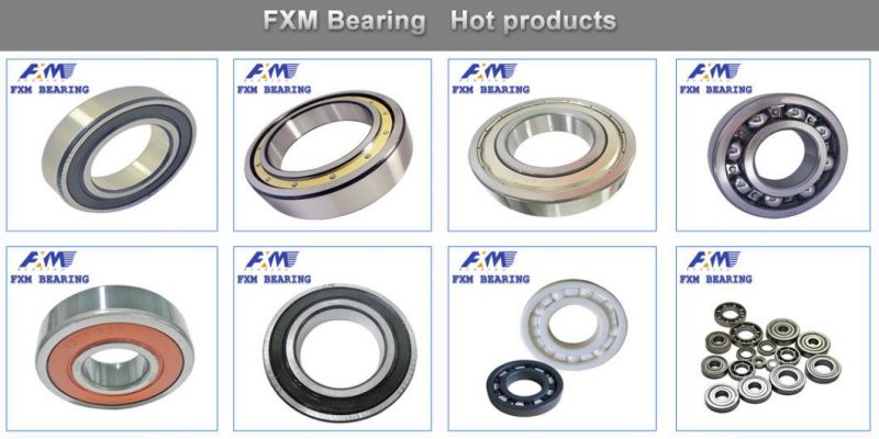 Bicycle Parts Insert Bearing Price