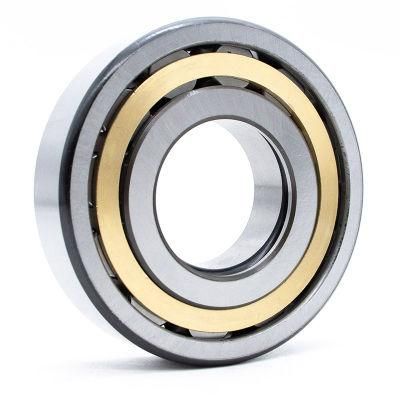 Fak NSK/ NTN/Timken/ Brand High Standard Own Factory Motorcycle Spare Part Cylindrical Roller Bearing N203
