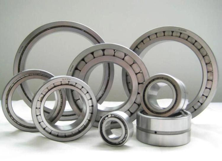 160X240 24032c/W33 Double Rows Spherical Roller Bearing with Cylindrical Bores