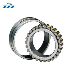High Stiffness of Double Row Cylindrical Roller Bearings