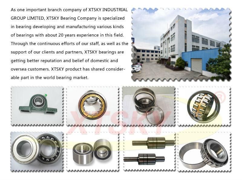 Roller/Ball Bearing (UCP205/206/6204/3210) Brand as Customer Requirements