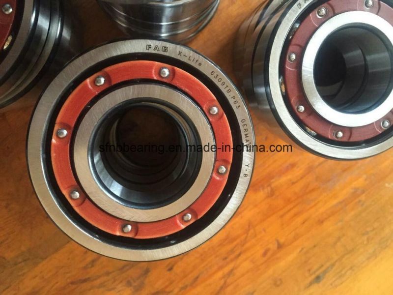 NSK Ball Bearing China Wholesale Price 6309dducm Rolling Bearing