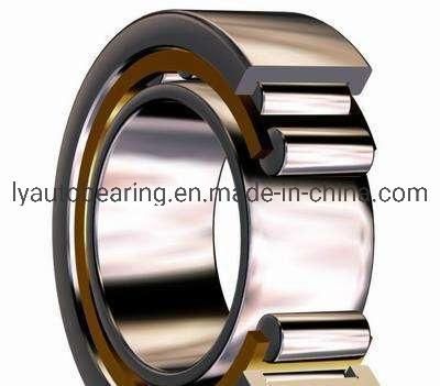 Auto Parts Cylindrical Roller Bearing (10929/710) Roller Bearing