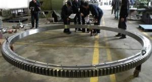 Rks. 061.20.0544 Slewing Bearing/ Turntable Ring