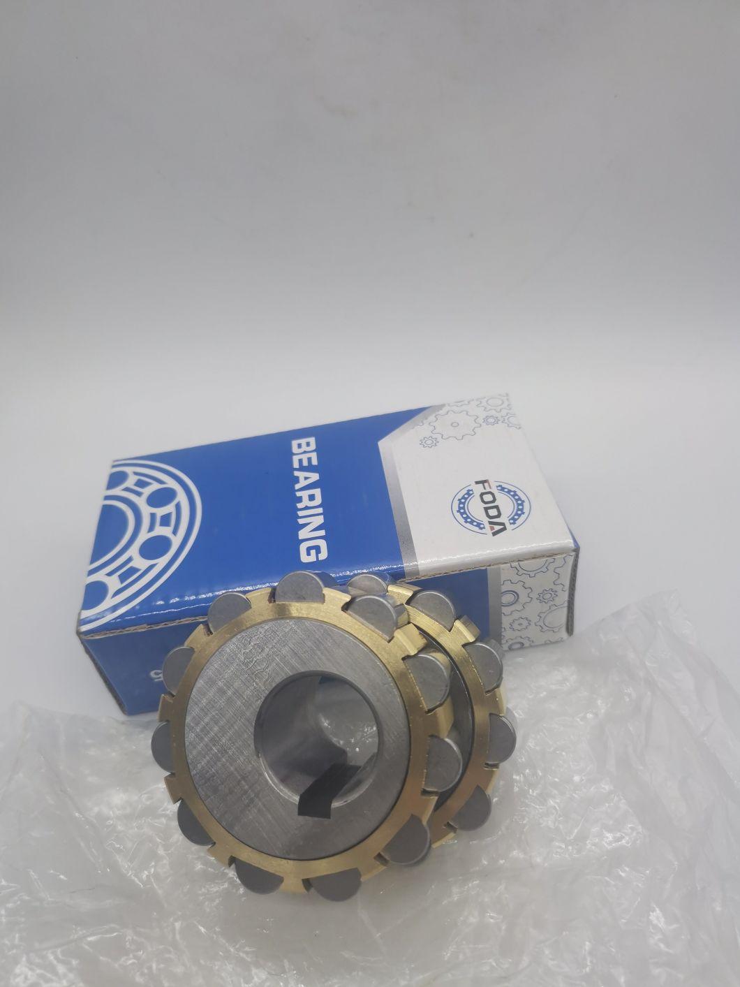 Double Row Eccentric Bearing Rn206m (22UZ8311 RN1010 RN1012 RN1014 RN1016 RV1018 RN1020 RN1024 RN202 RN203 RN204 RN205 RN206 RN207 RN208)