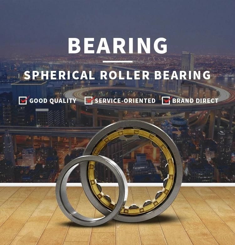 Manufacturer Supply Long Life Cylindrical Roller Bearings