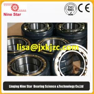 Nu1038ecm/C3sq77 Insulated Roller Bearings
