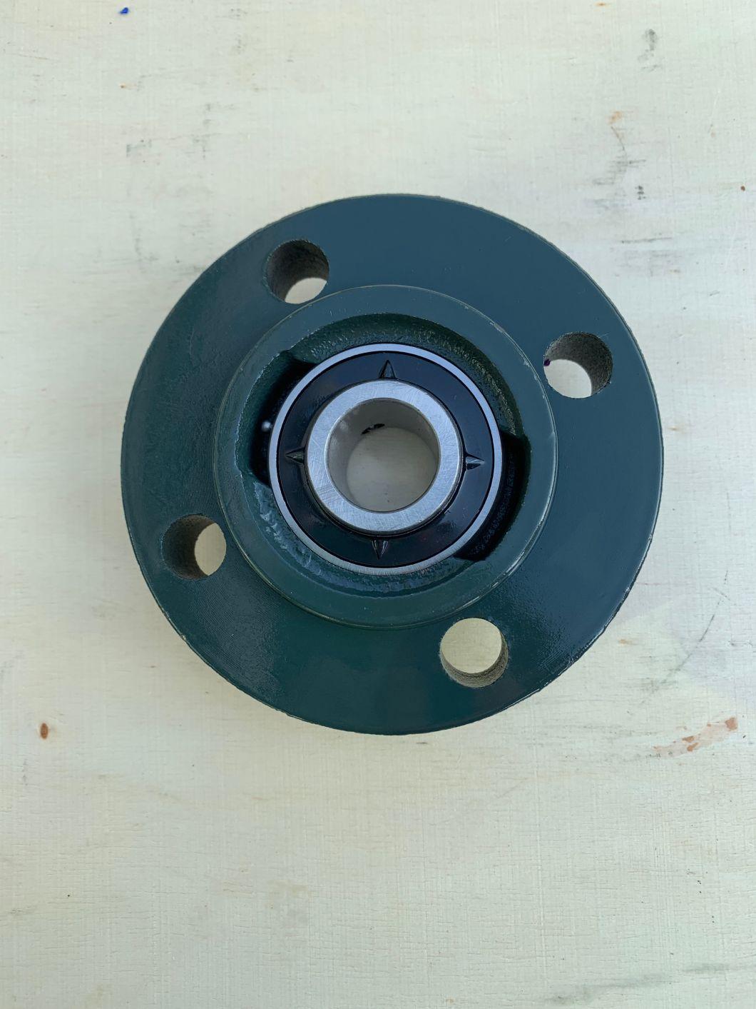 Fkd Cast Iron Pillow Block Bearing with ISO9001 Certificated