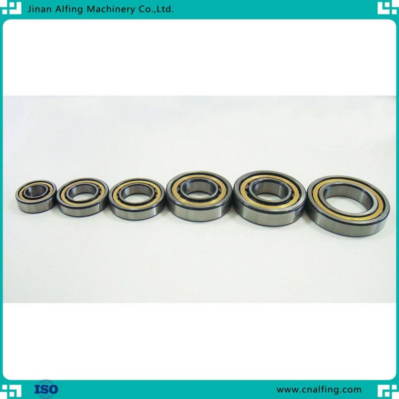 Chrome Steel Double/ Single Row Cylindrical Roller Bearing