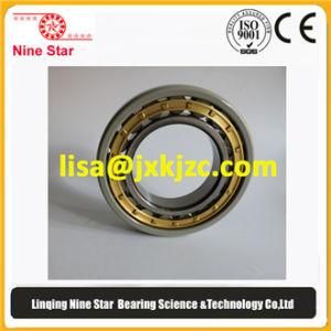 Traction Motor Bearing Nu215 Ecm/C4 Hva3091 Insulated Bearing