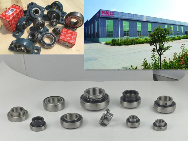 Pillow Block Bearing/Angular Contact Bearing Fkd Bearing