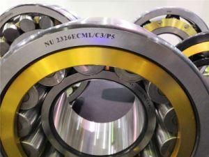 High Precision Nu 2306 Ecp Bearing for Locomotive and Rolling Stock