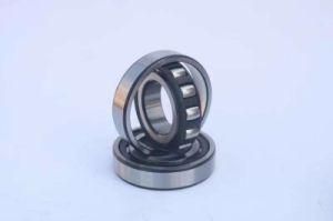 Barrel Roller Bearings 20211-K-Tvp-C3 20212-K-Tvp-C3 20213-K-Tvp-C3 20215-K-Tvp-C3 20205-K-Tvp-C3 20206-K-Tvp-C3