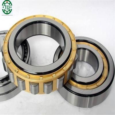 Brass Cage Cylindrical Roller Bearing Nu Nu207em NSK Japan