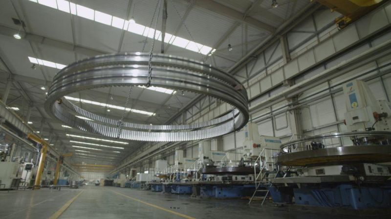 Zys Large Diameter Heavy Load Slewing Ring Bearing 112.32.1400 for Slewing Crane