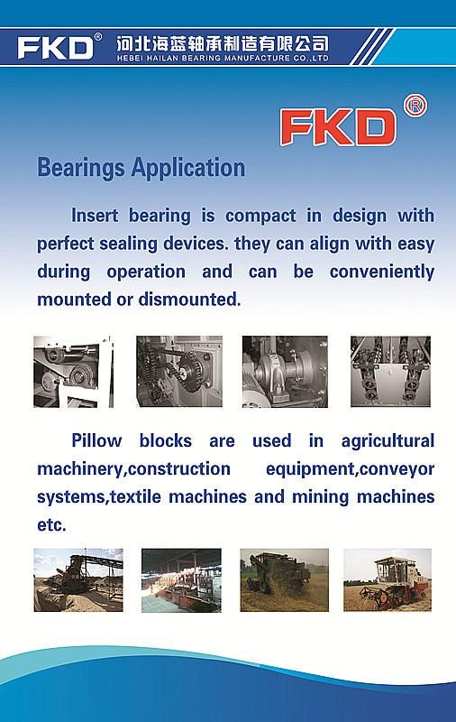 Chrome Steel UCP Series Pillow Block Bearing/Insert Bearing/Bearing/Chumaceras/Pedestal Bearing/Setting Block (UCP206 UCP206-18 206-19 206-20)