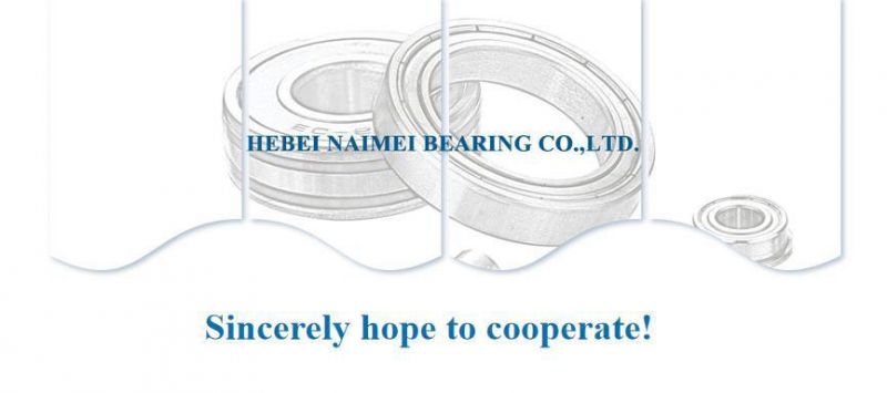 High Performance 6200 2RS 6007 6301 6203 6300 2RS 6303 Deep Groove Ball Bearing
