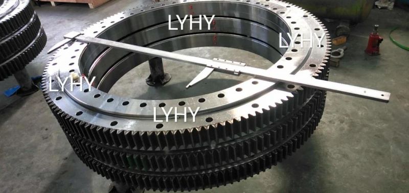 Lyhy Double Row Ball Slewing Bearings Turntable Bearings with External Gear 2de. 180.00