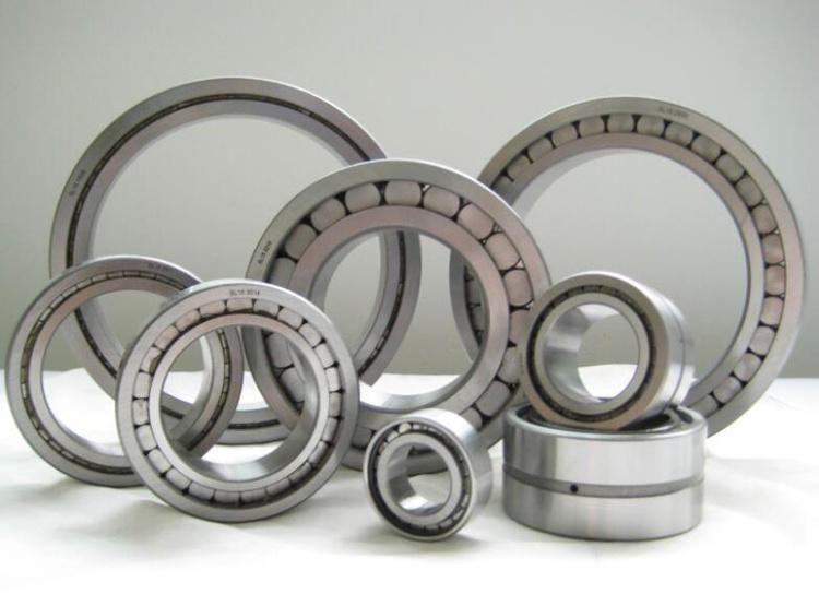 160X270 23132ca/W33 Double Rows Spherical Roller Bearing with Cylindrical Bores